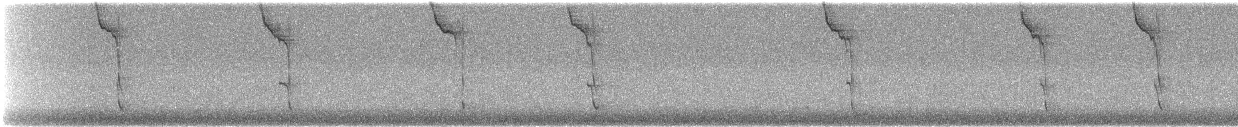 Southern Flying Squirrel - ML646684849