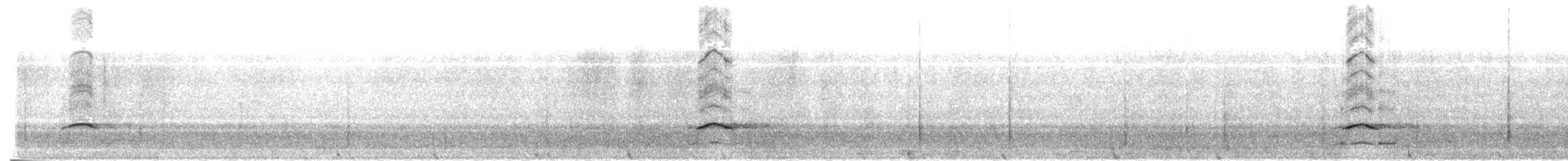 Little Owl - ML646684885