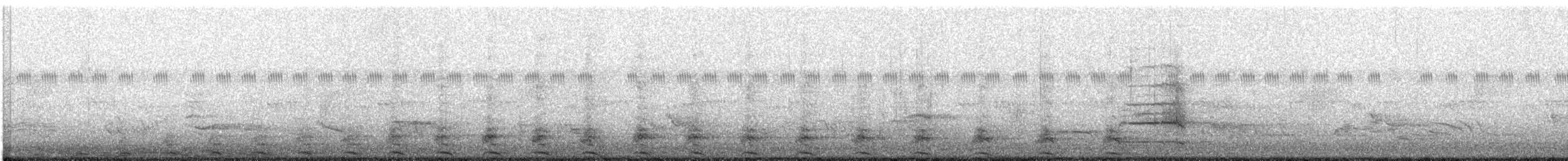 Striped Owl - ML646684913