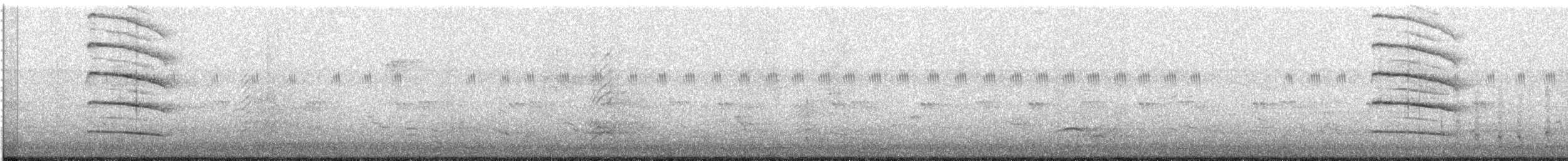 Striped Owl - ML646684918