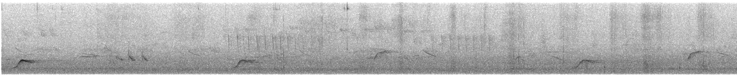 Southern Boubou - ML646685203