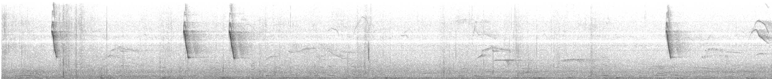 Piratic Flycatcher - ML646685205