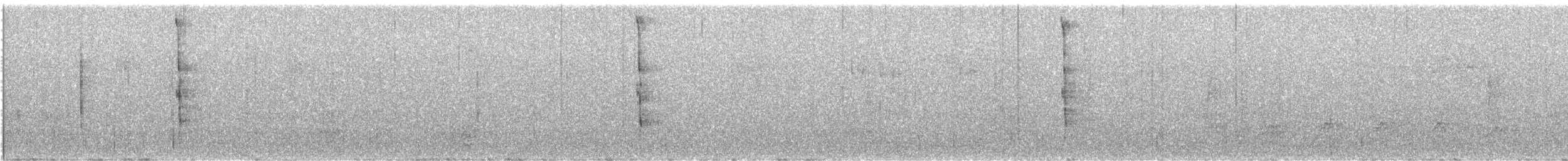 Lewis's Woodpecker - ML646685322