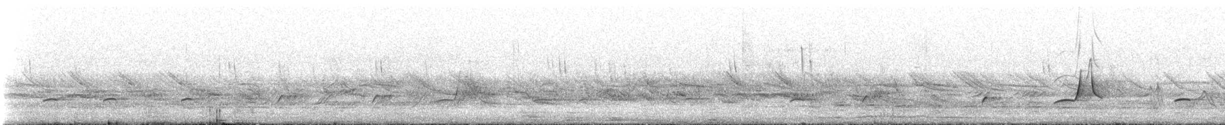 Fire-eyed Diucon - ML646685516