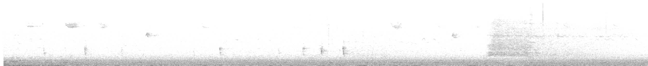 Hermit Thrush - ML646685536