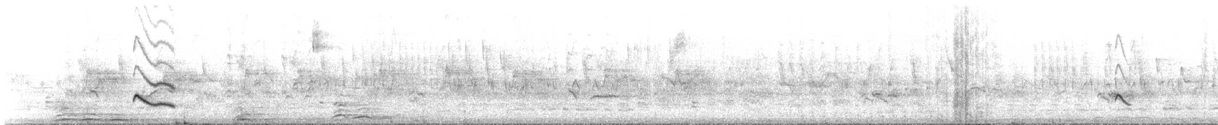 White-crested Elaenia (Chilean) - ML646685543