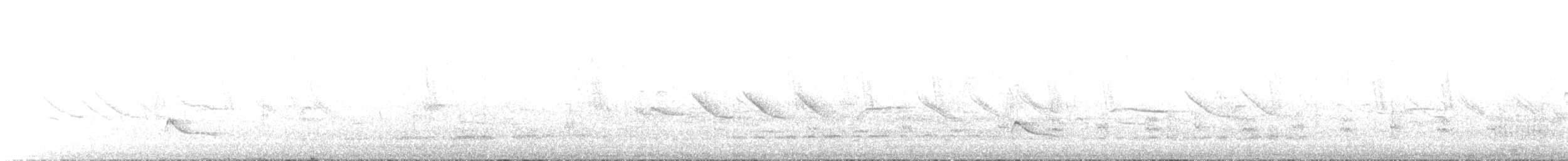 White-crested Elaenia (Chilean) - ML646685544