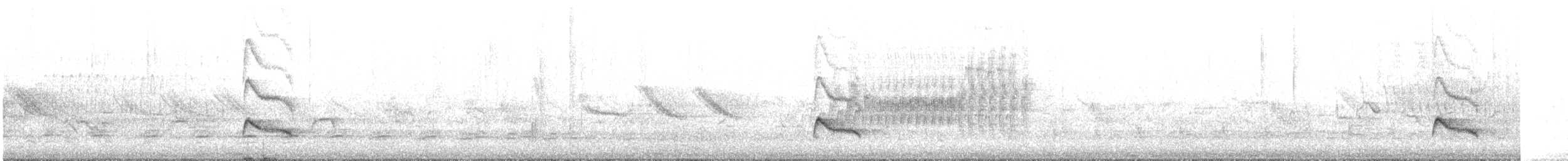 White-crested Elaenia (Chilean) - ML646685545