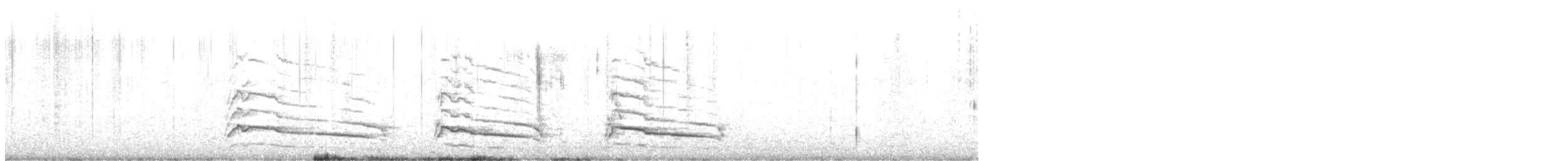 Red-shouldered Hawk - ML646685562