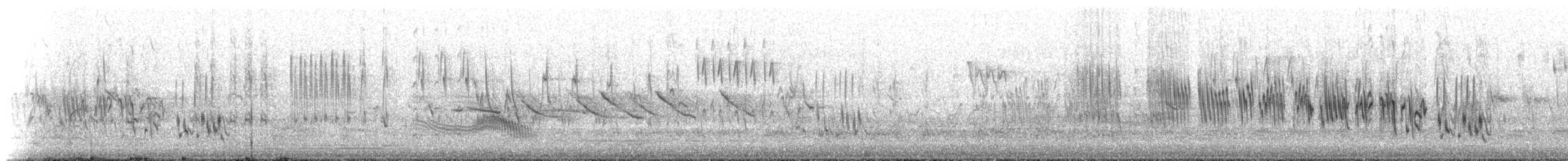 Chilean Swallow - ML646685586