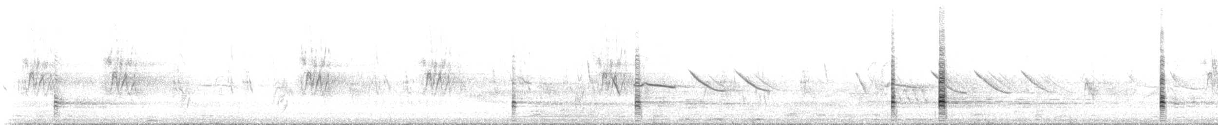 Black-faced Ibis - ML646685591