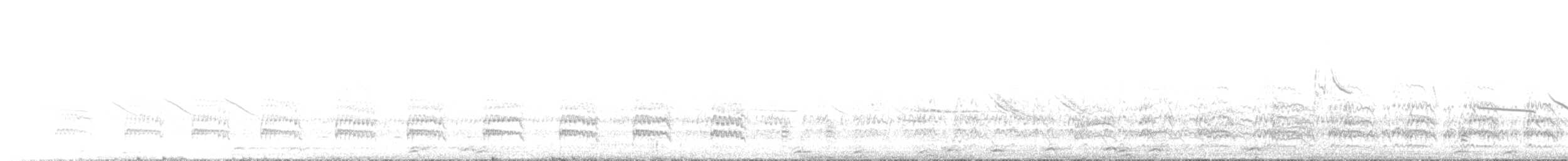 Southern Lapwing (chilensis/fretensis) - ML646685592