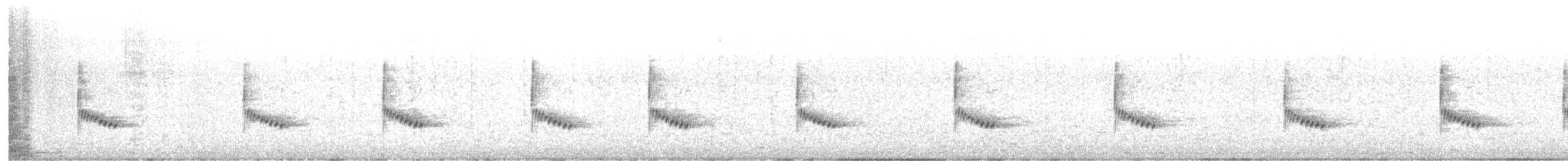 Carolina Wren - ML646685593