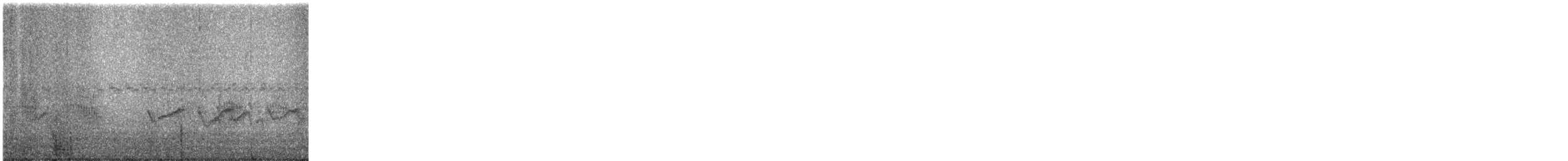 Semipalmated Plover - ML646685617