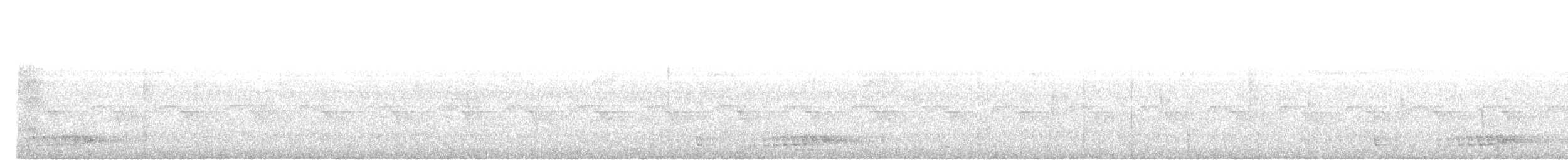 Синелицый бородастик - ML646685744