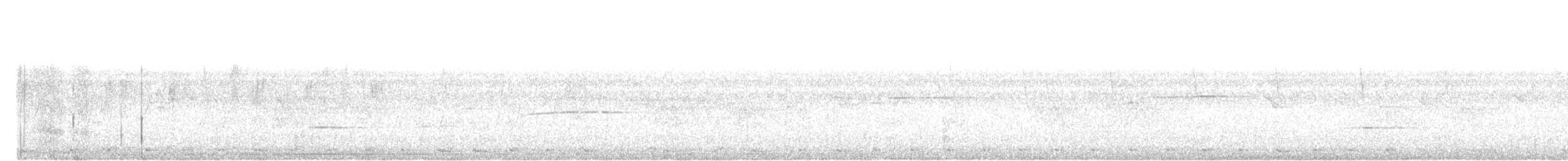 Mountain Barbet - ML646685759