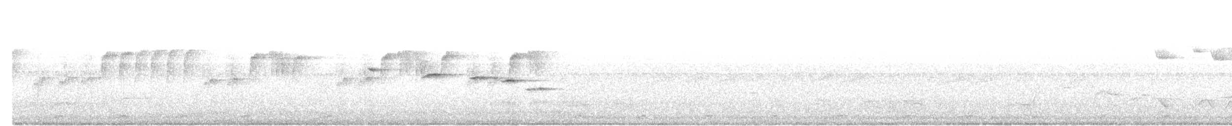 White-throated Fantail - ML646685779