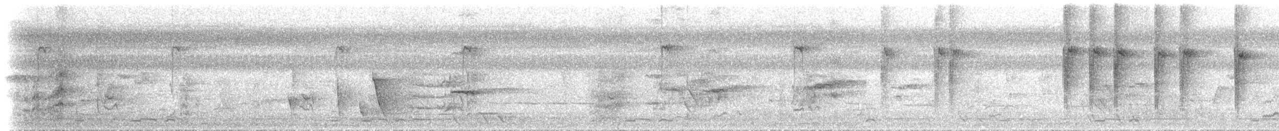 Double-eyed Fig-Parrot - ML646685780