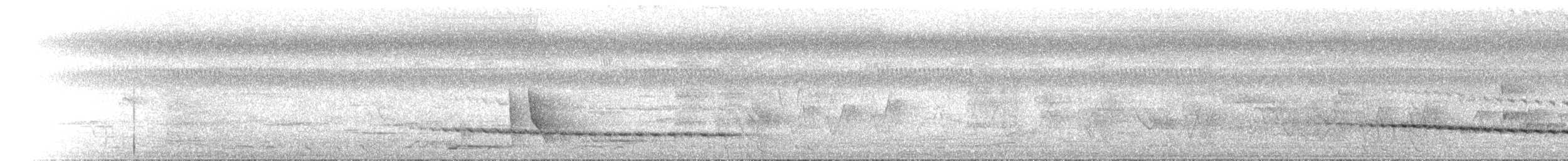 Shining Flycatcher - ML646685785