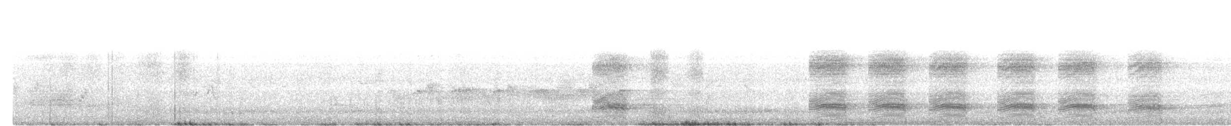 Bornean Treepie - ML646685787