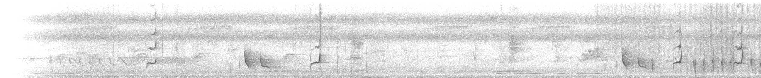 White-gaped Honeyeater - ML646685790