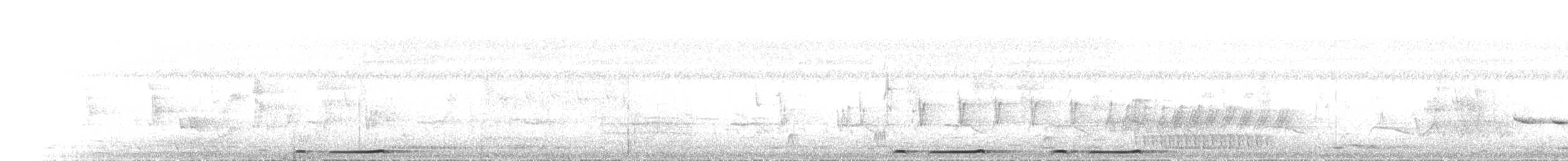 Bar-shouldered Dove - ML646685795