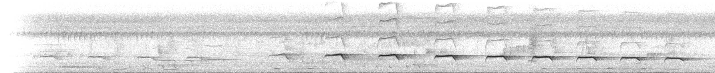 Sahul Brush Cuckoo - ML646685797