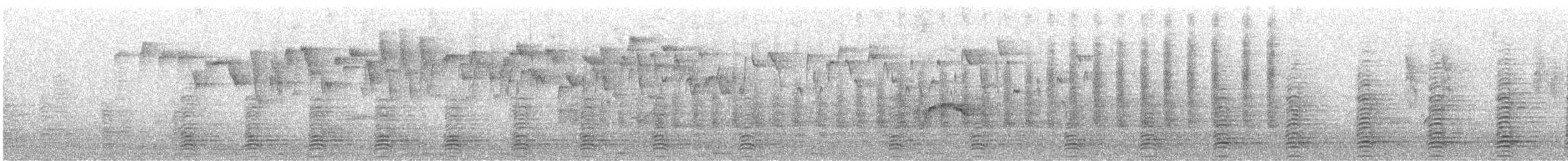 Egyptian Goose - ML646685802