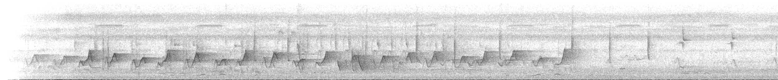 Macleay's Honeyeater - ML646685826