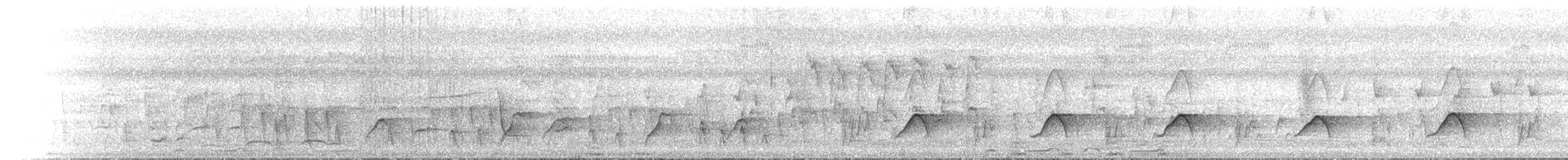 Yellow Honeyeater - ML646685830