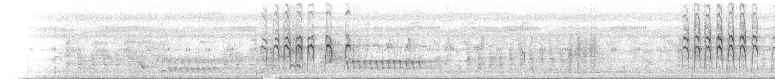 Brown-backed Honeyeater - ML646685843