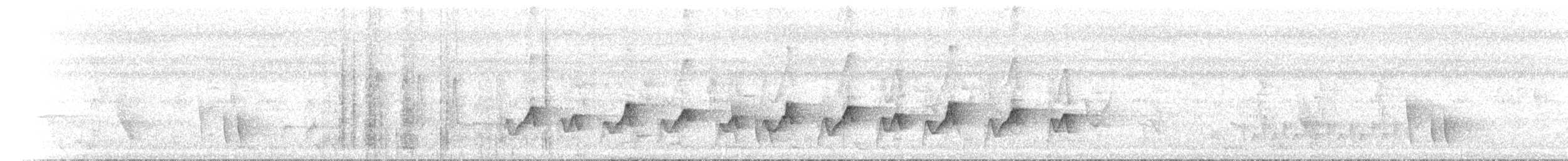 Macleay's Honeyeater - ML646685844