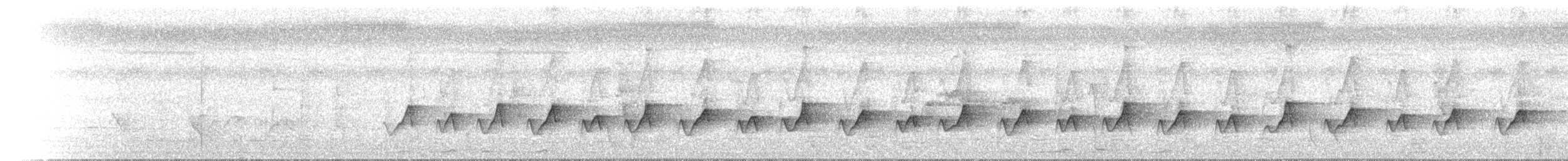 Macleay's Honeyeater - ML646685846