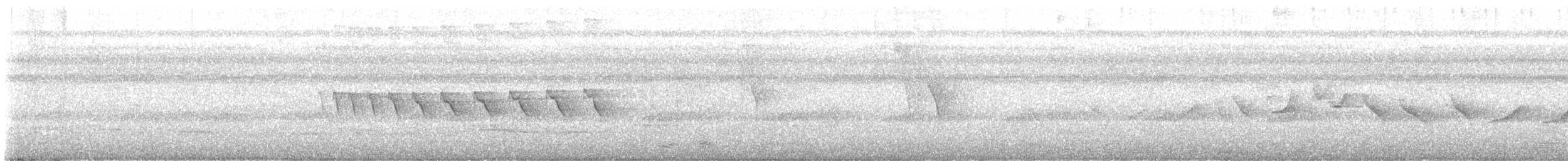 Black-throated Antbird - ML646685862