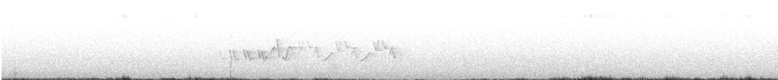 Magnolia Warbler - ML646685911