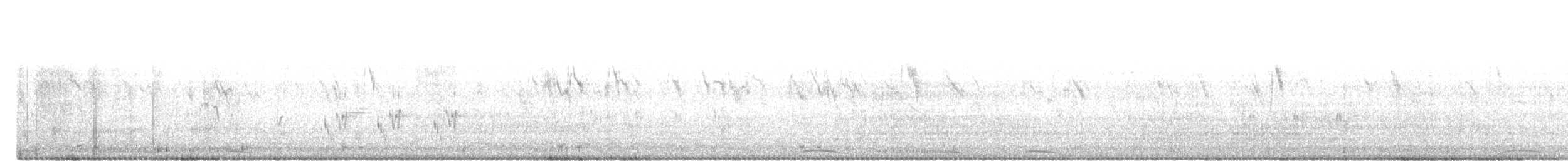 Yerbera Palustre - ML646686598