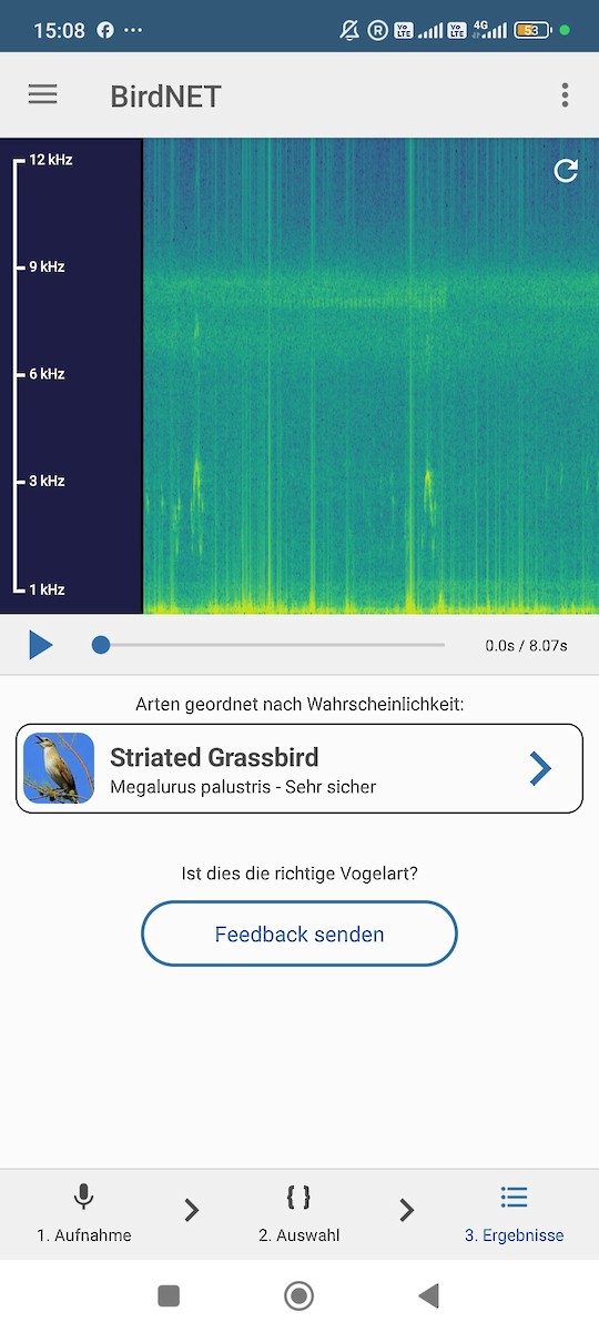 Матата болотяна - ML646686722