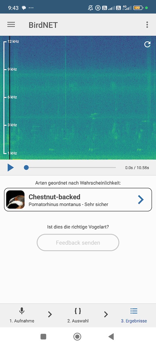 Sunda Scimitar-Babbler - ML646686746