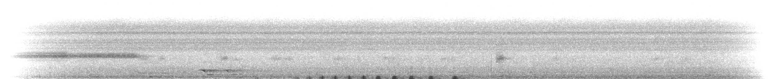 Southern Cassowary - ML646686787