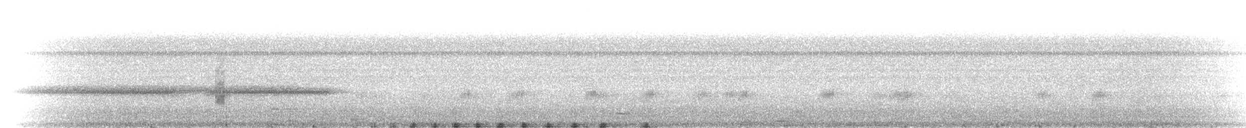 Casuario Común - ML646686791