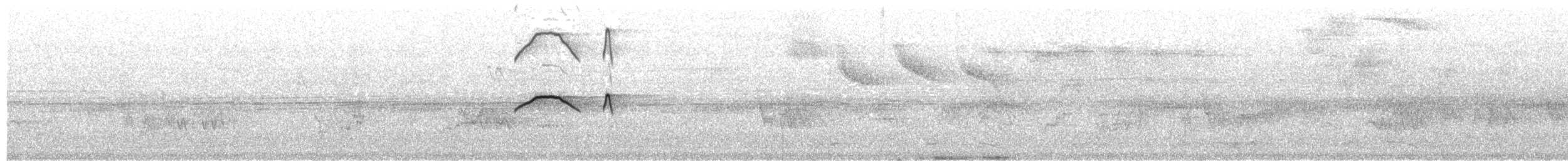 Milano Muslirrufo - ML646686881