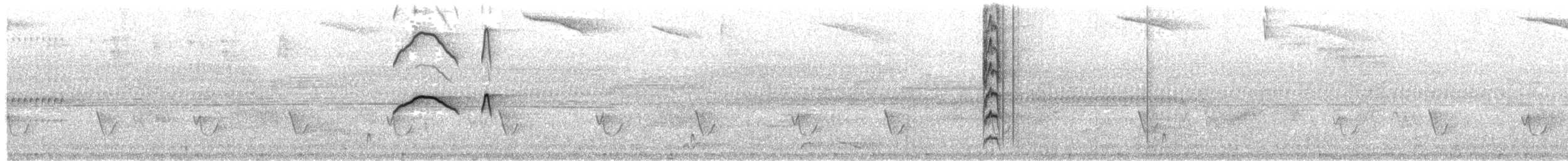 Milano Muslirrufo - ML646686882