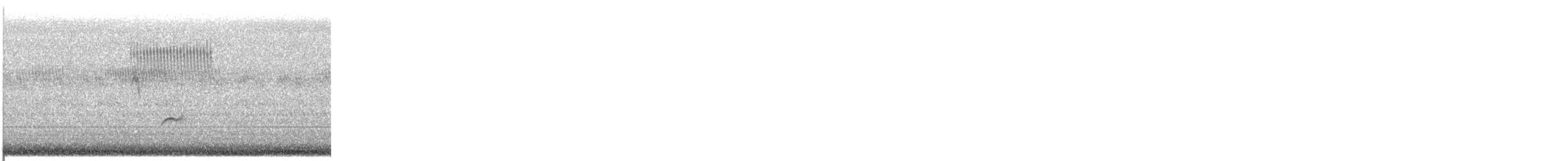 Swainson's Thrush - ML646686916