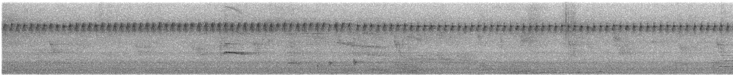 Capuchino Punteado - ML646687463