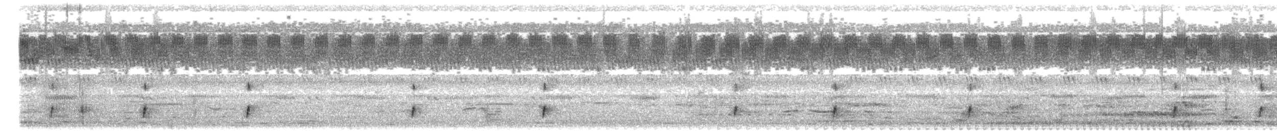 Chotacabras Hindú - ML646687631