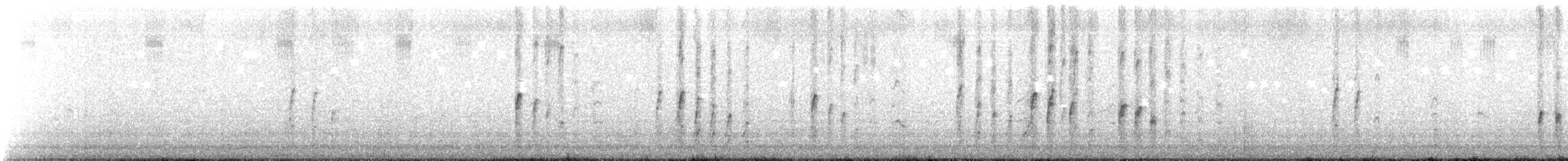 Suirirí Capirotado - ML646687679