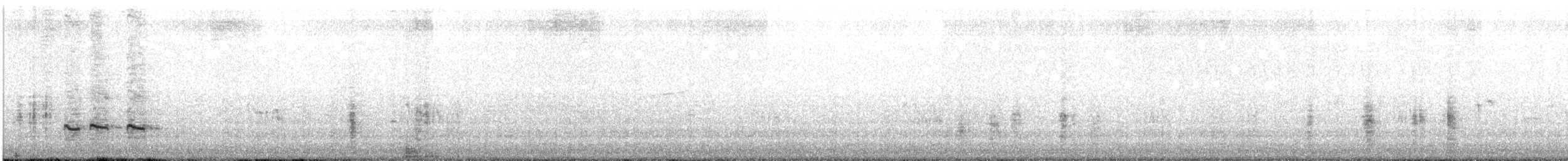 Archibebe Claro - ML646687689