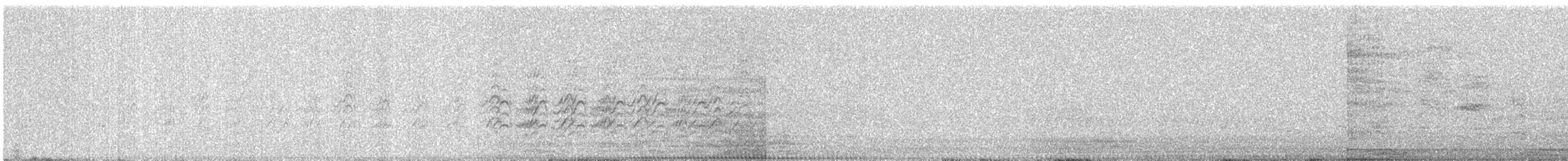 Large Gray Babbler - ML646687760