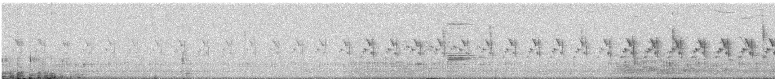 Prinia Cenicienta - ML646687833