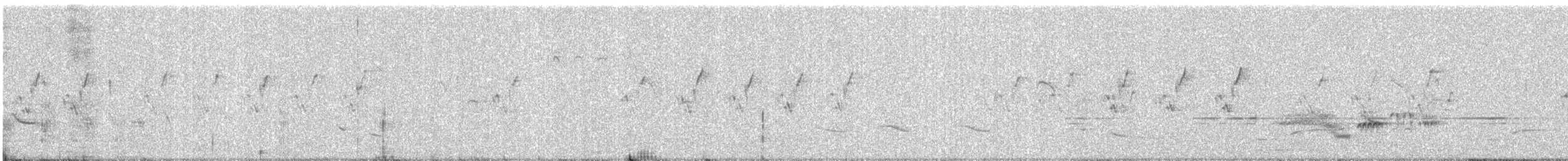 Prinia Cenicienta - ML646687840